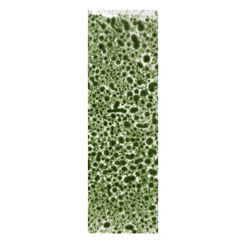 AK8132 - VEGETATION - REALISTIC GREEN MOSS - Immagine 2