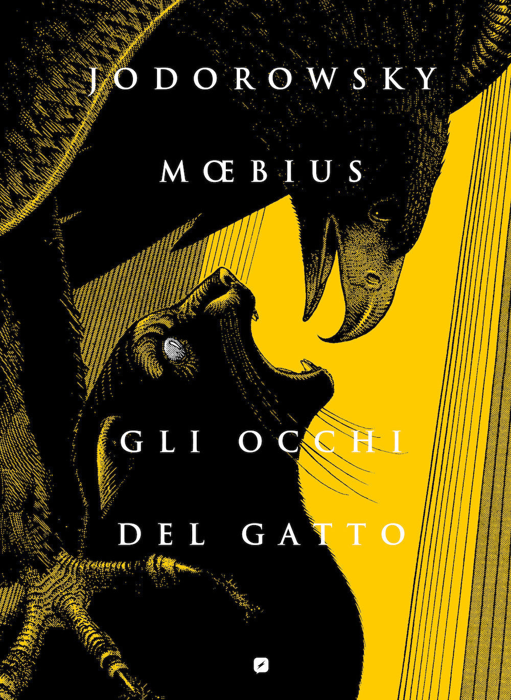 GLI OCCHI DEL GATTO