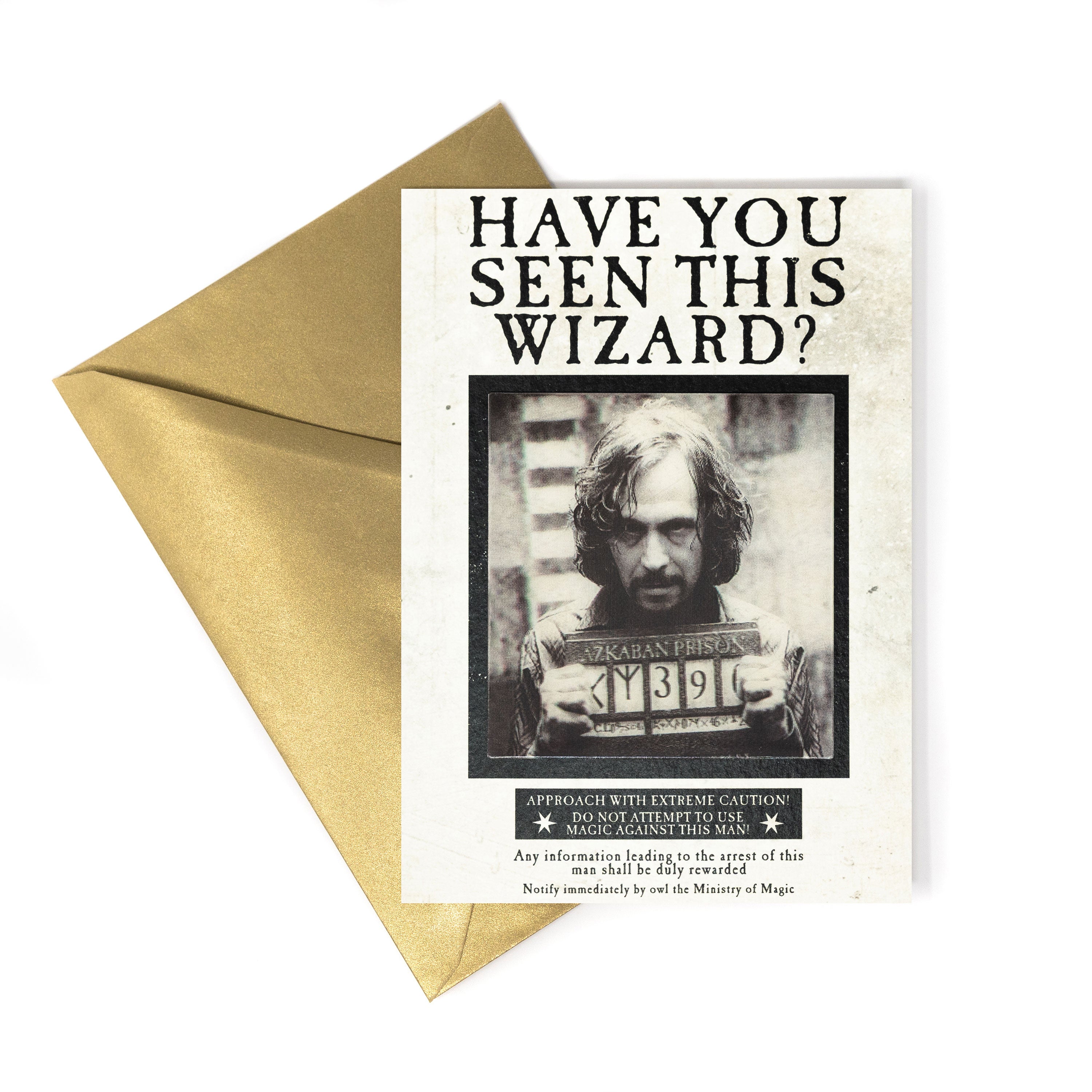 HPCARD16 - HARRY POTTER - MINISTRY OF MAGIC: 'HAVE YOU SEEN THIS WIZARD?' - NOTECARD