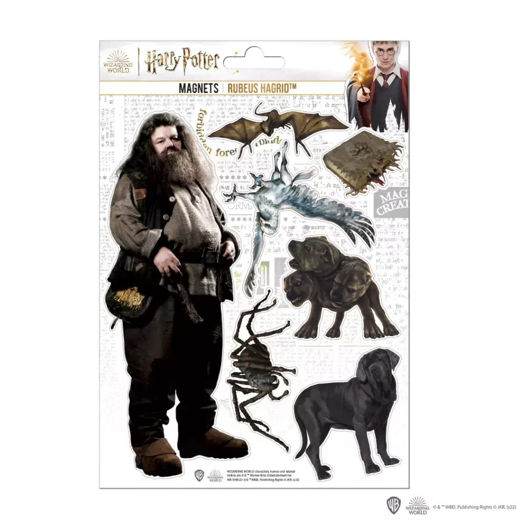 MAP5026 - HARRY POTTER - SET MAGNETI IN SPUGNA HAGRID