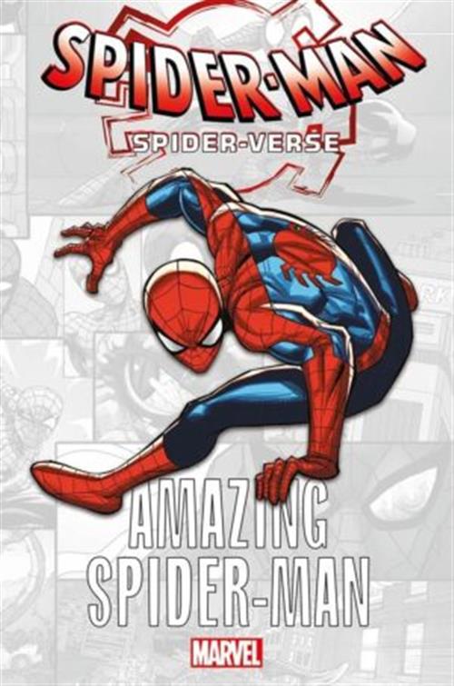 SPIDER-VERSE: AMAZING SPIDER-MAN