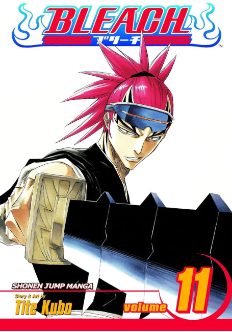 BLEACH - NUOVA EDIZIONE VOL.11: A STAR AND A STRAY DOG