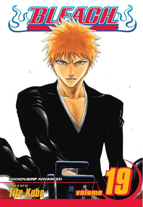 BLEACH - NUOVA EDIZIONE VOL.19: BE MY FAMILY OR NOT