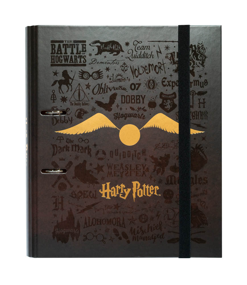 C2AT0018 - HARRY POTTER - RACCOGLITORE 2 ANELLI FORATO PREMIUM
