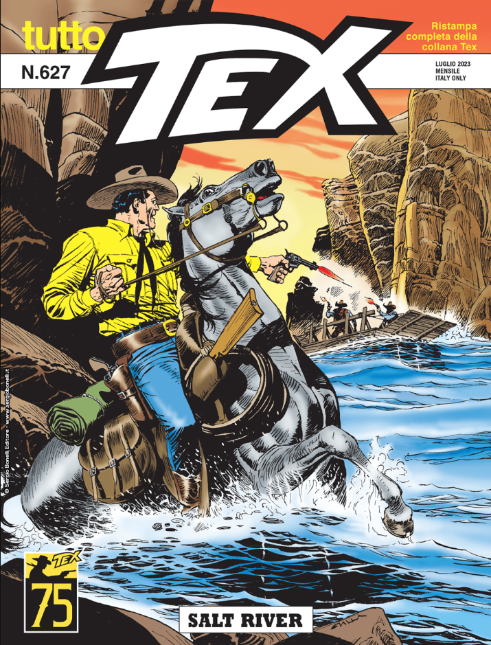TUTTO TEX 627 - SALT RIVER