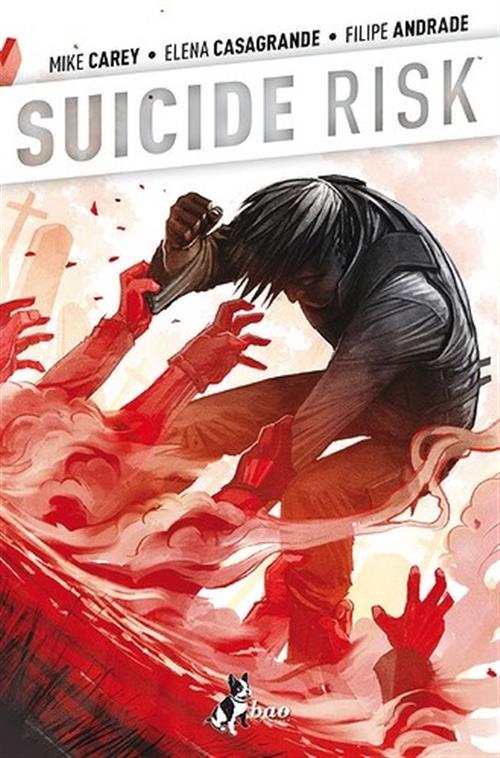SUICIDE RISK 4