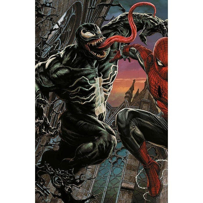 AMAZING SPIDER-MAN 17 - SPIDER-MAN 894 - VARIANT AMAZING VISIONS DI LEE BERMEJO