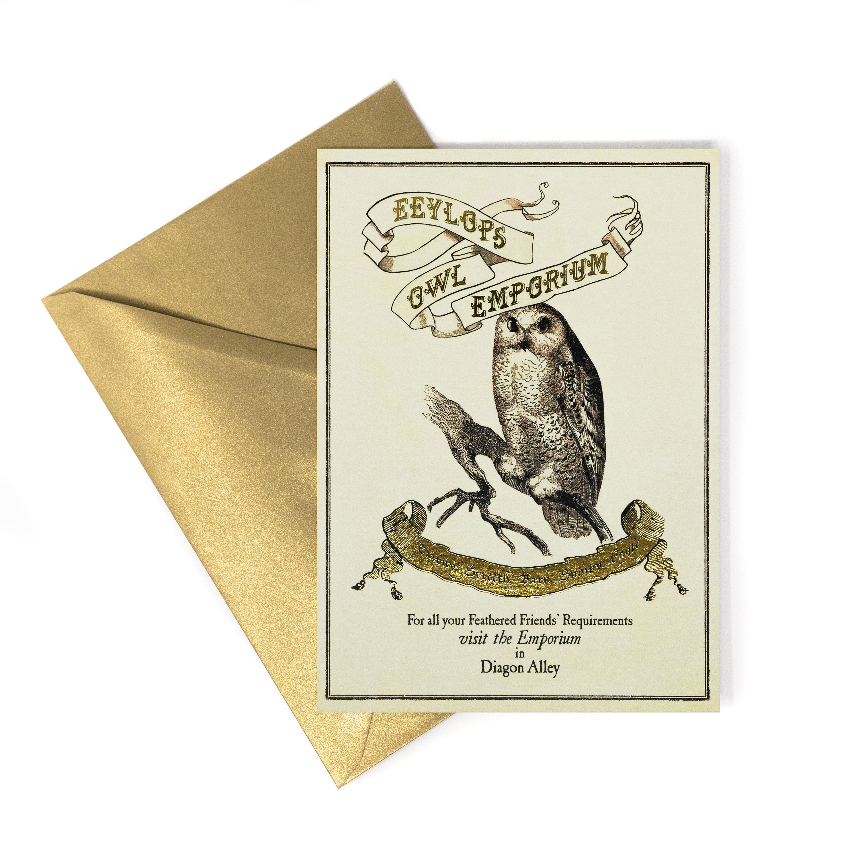 HPCARD30 - HARRY POTTER - DIAGON ALLEY: EEYLOPS OWL EMPORIUM POSTER - NOTECARD