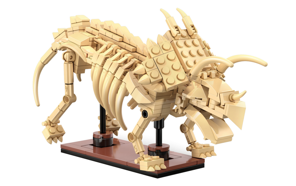 DBLC59013W - CADA - DINOSAUR FOSSILS - TRICERATOPS - 272 PZ