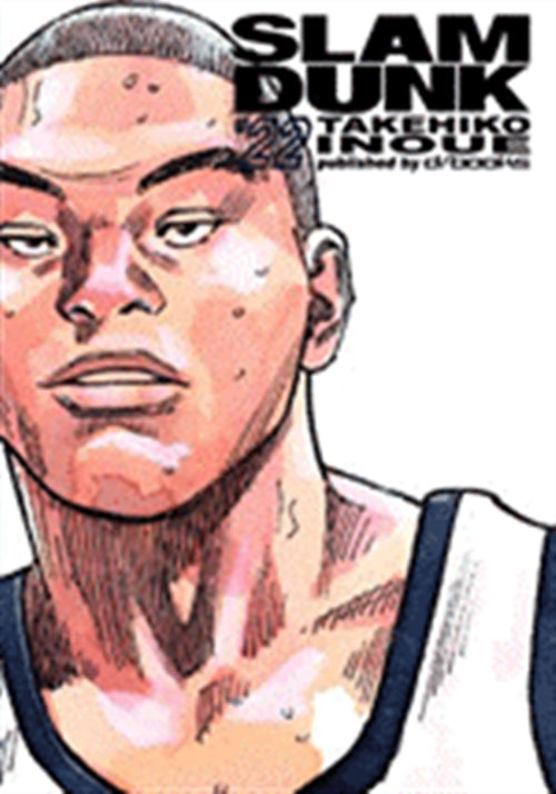SLAM DUNK (D/VISUAL) 22