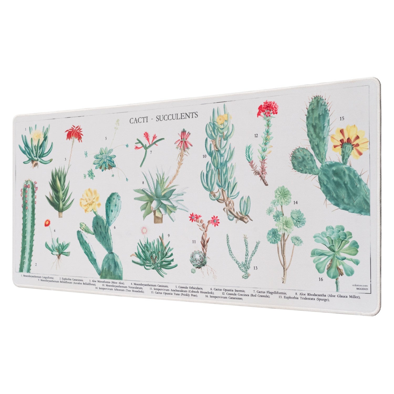 MGGE023 - BOTANICAL - MOUSEPAD XL - BOTANICAL CACTI