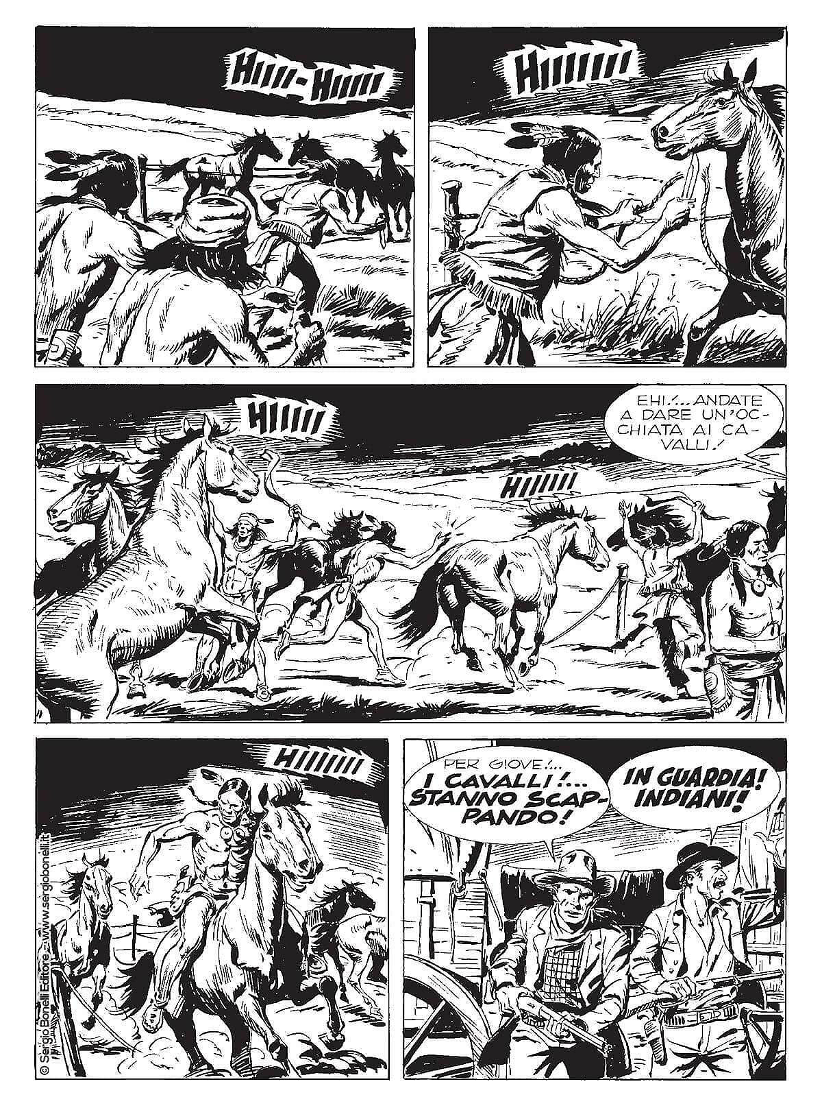 TEX TRAPPER! - NUOVA EDIZIONE 2024 - Immagine 2